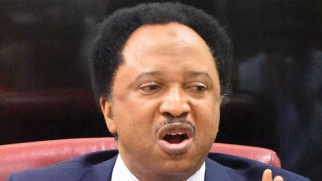 Nicki Minaj not a role model, knows nothing about Nigeria – Shehu Sani