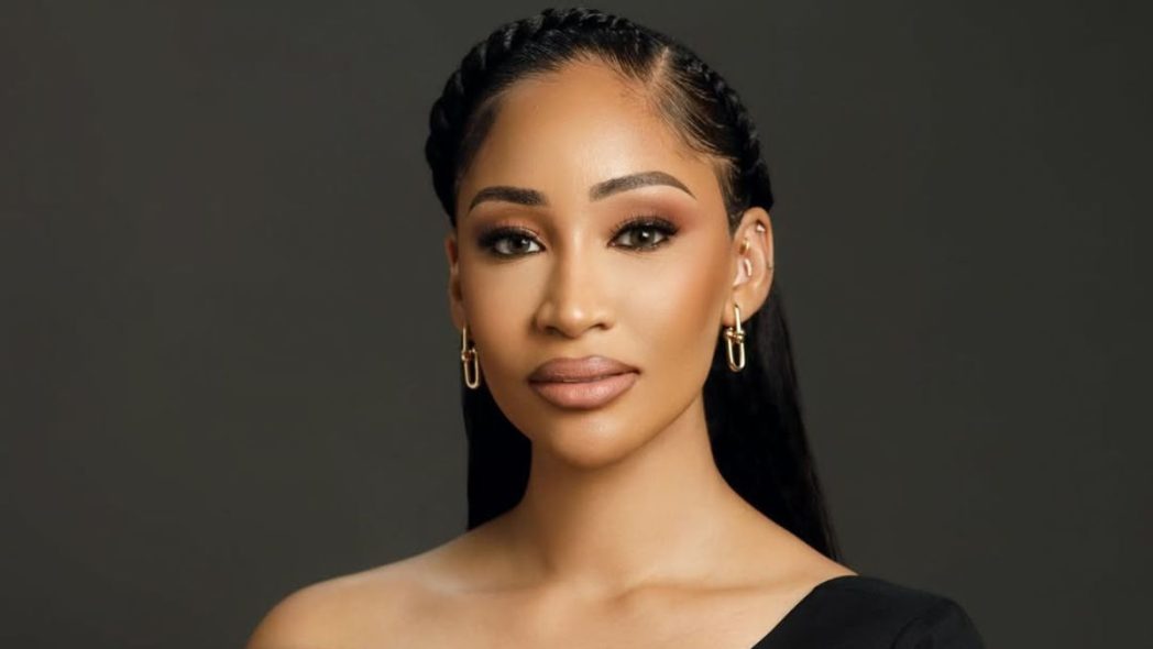 I met Seyi Tinubu on Facebook, wife Layal reveals