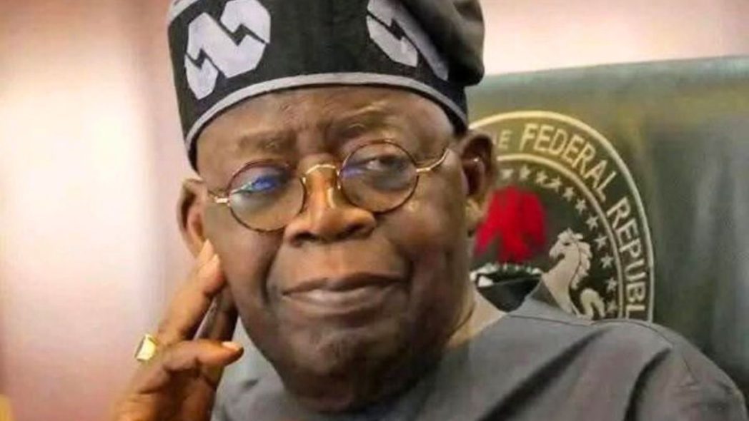 Atiku tried to privatise ADC – Tinubu