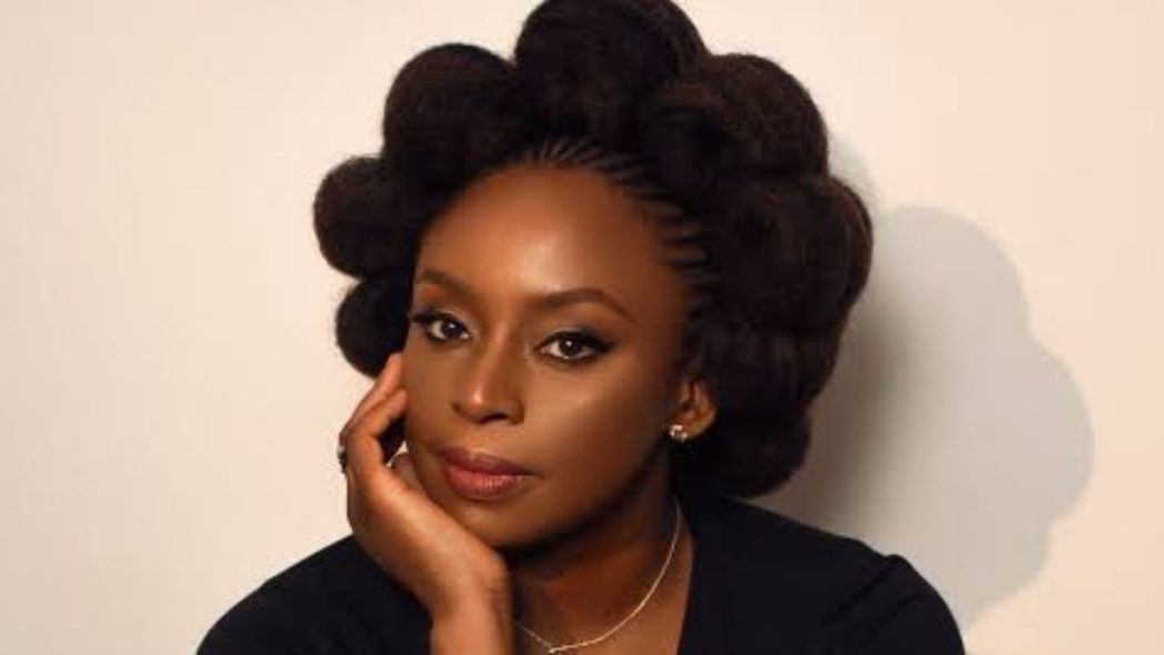 Lagos orders probe into death of Chimamanda Adichie’s 21-month-old son